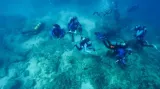 All our laws and rules to protect coral reefs now stand in the way of radical action to save them from heat death