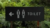 ‘My urine smells really badly lately, like acid. What could be the reason?’