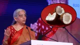 Union Budget 2026: Nirmala Sitharaman focuses on coconut promotion. Here are the fruit’s nutritional benefits