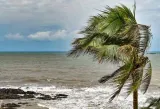‘El Nino may occur after July; clear picture to emerge after April’