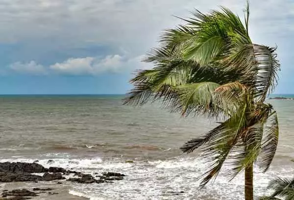 ‘El Nino may occur after July; clear picture to emerge after April’