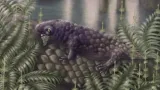 307-million-year-old skull unearthed in Canada reveals Earth’s earliest ‘vegetarian’ animal