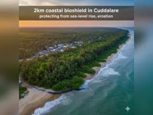 Tamil Nadu develops 2km coastal bioshield in Cuddalore to protect from sea-level rise, erosion