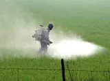 India a big contributor to global toxicity by pesticides