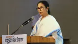 ‘Fish-eating Bengalis’ vs BJP: How Bengal food politics is turning into a major hurdle for the party