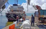 U.S.-Iran war impacts Indian rice shipments to West Asia destinations