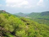 Environment Ministry amends forest conservation norms for land diversion of over 40 hectares