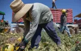 Jobs have become, for so many, a relentless, unsatisfying toil. Why then does the work ethic still hold so much sway?