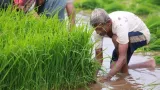Govt says adequate fertilizer stocks in India ahead of Kharif season; costly LNG from spot market could raise subsidy burden
