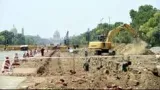 Central Vista project records 43% loss in transplanted trees