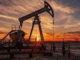 Crude sustaining above $100 will push inflation beyond 6%, trigger rate hikes: HSBC