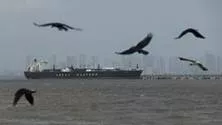 Govt okays ₹12,980-crore maritime insurance pool