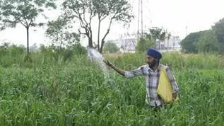 India’s fertiliser output falls to five-year low in March