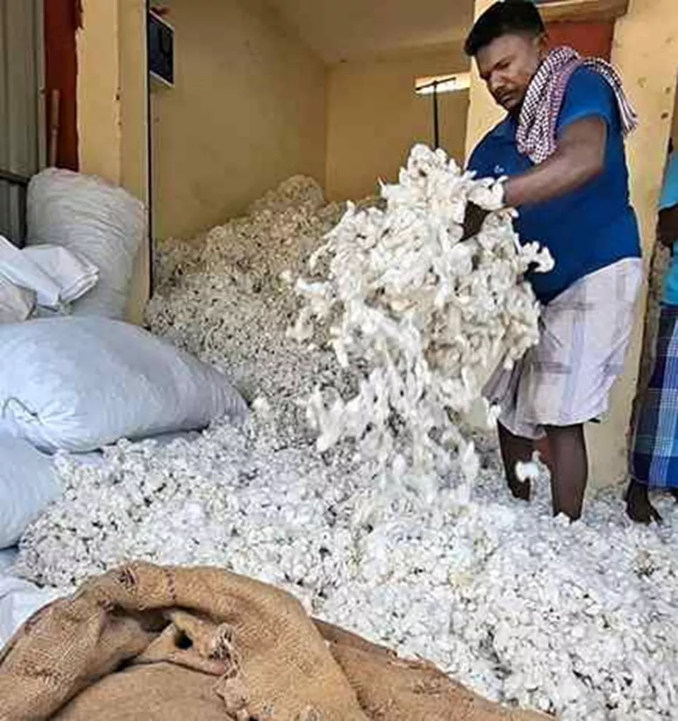 Prices of cotton increase 8.5% in April on lower production