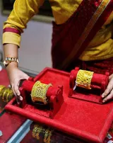 Gold shining as investment: WGC