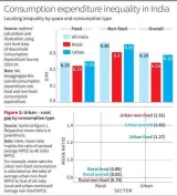 Understanding inequality in India’s growth story