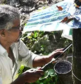 Growers seek status quo on import duty on natural rubber