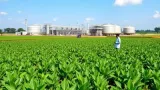 No fertiliser shortage for Kharif sowing, says Centre; govt urges farmers not to panic buy