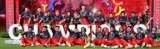 Royal Challengers retain title with a regal display