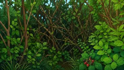 Thicket - A dense group of bushes, shrubs, or small trees growing closely together.
