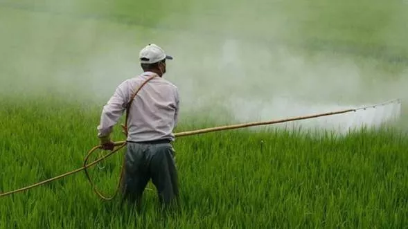 Relief for Indian farmers; Urea prices crash in latest import tender