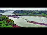 Afforestation, dolphin revival show life returning to Ganga under Namami Gange: NMCG