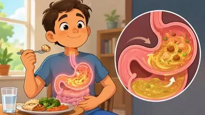 Digest - Break down food in the body or understand information fully.