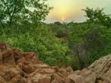 Aravalli Biodiversity Park helps Delhi retain 3 million litres of rainwater, reduce flooding: Study