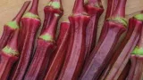 This cousin of green bhindi is great for gut health and weight management