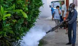 Sri Lankan universities close and shift to online classes as dengue cases top 65,000 in the island