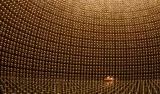 Physics displays an uncanny alignment at its very deepest levels. Is a grand theory of everything finally within reach?