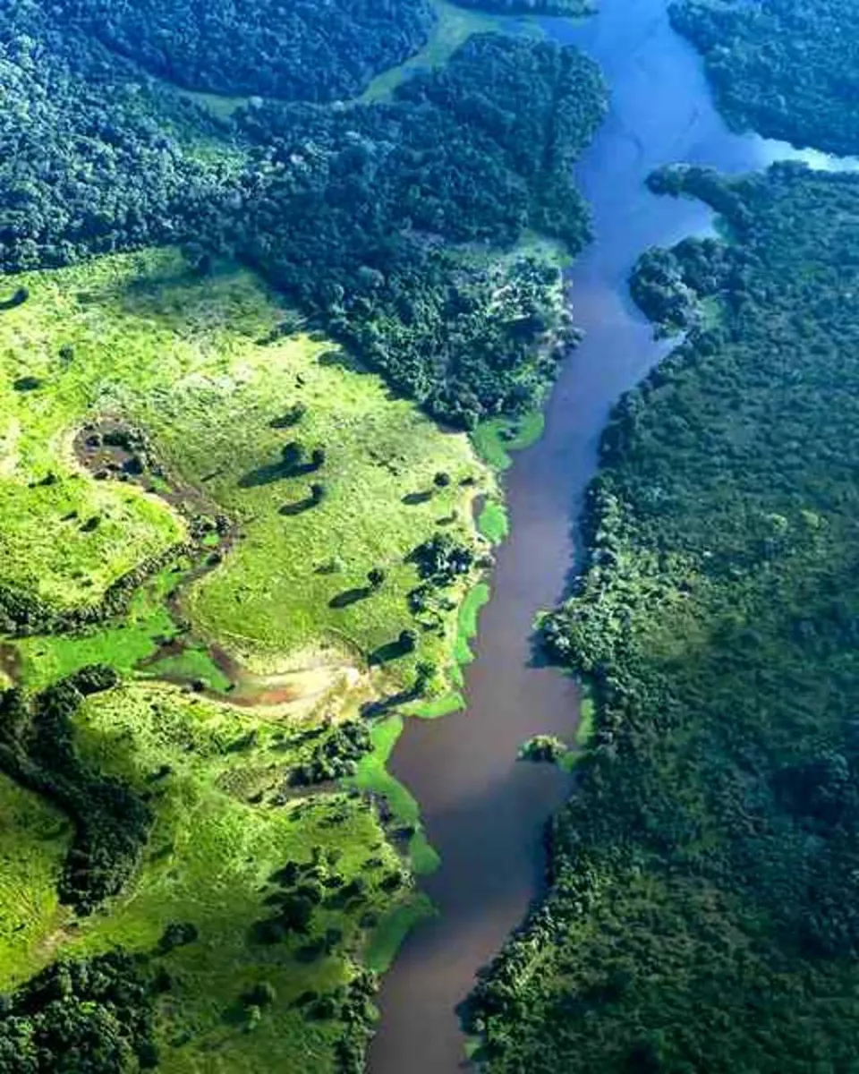 Fires in Brazil’s Amazon fellto historic lowin 2025: report