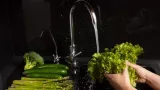 You wash your vegetables — but is that enough to kill Cyclospora?