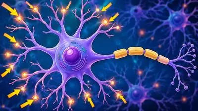 Dendrite - A branched extension of a nerve cell that receives signals from other cells. (तंत्रिका कोशिका की शाखा)