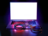 Frame SOPs to curb ‘digital arrest’ scams: SC