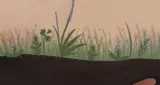 The lives that slither and scurry beneath the soil’s surface are vital for ecological health: now we can listen in to them