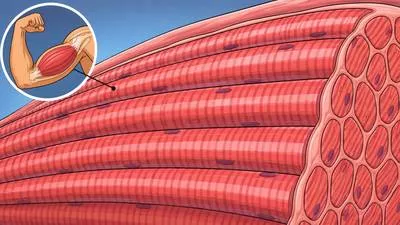 Striated - Marked with long, narrow parallel lines, grooves or bands.