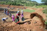 Employment guarantee has slipped into limbo
