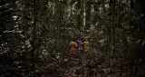 Why do hunter-gatherers refuse to be sedentary? New answers are emerging from the depths of the Congolese rainforest