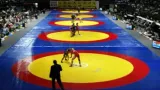 Korean wrestling president announces pork gift hampers for Asian Games medallists