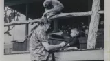 Learning from his family, his animals and his work with tribal people, Gregory Bateson saw the creative potential of paradox