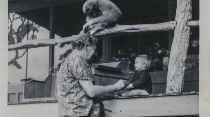 Learning from his family, his animals and his work with tribal people, Gregory Bateson saw the creative potential of paradox