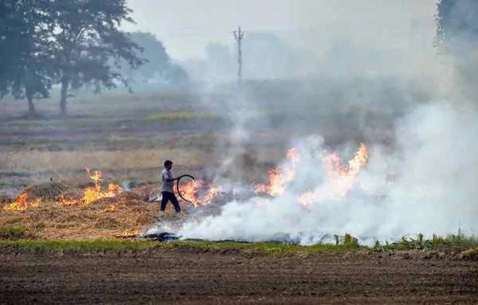 Air quality panel taps ISRO to improve tracking of Punjab, Haryana farm fires