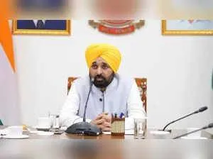 Punjab cabinet approves 3 foodgrain policies for Kharif 2026-27