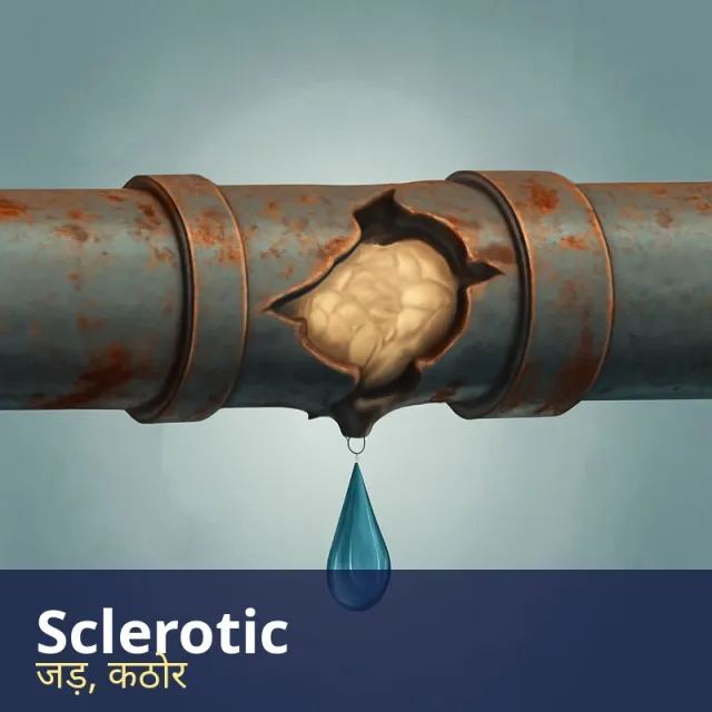 Sclerotic - Rigid and unable to adapt or change; medically, hardened.