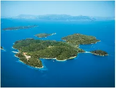A bird’s eye view - General view