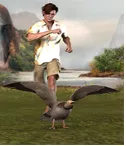 A wild goose chase - Useless effort