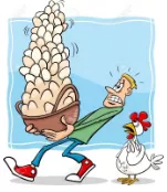 Carry all eggs in one basket - Put everything at risk