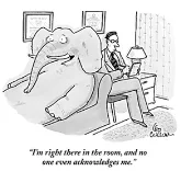 A white elephant - Expensive but useless possession