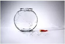 A fish out of water - To be in difficulty